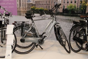 Gazelle_10
