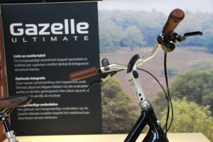 Gazelle_25