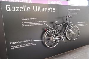 Gazelle_27