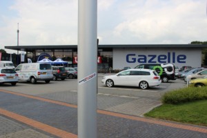 Gazelle_38