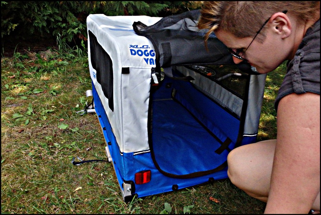 Test przyczepki rowerowej dla psa XLC Doggy Van