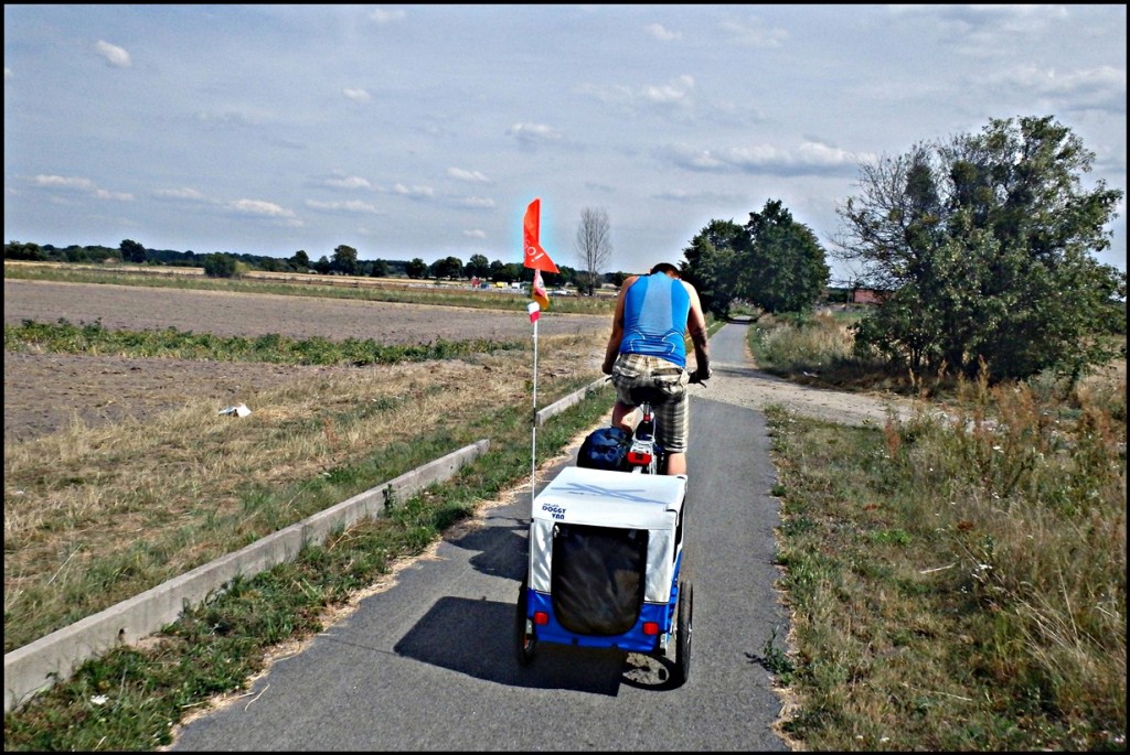 Test przyczepki rowerowej dla psa XLC Doggy Van