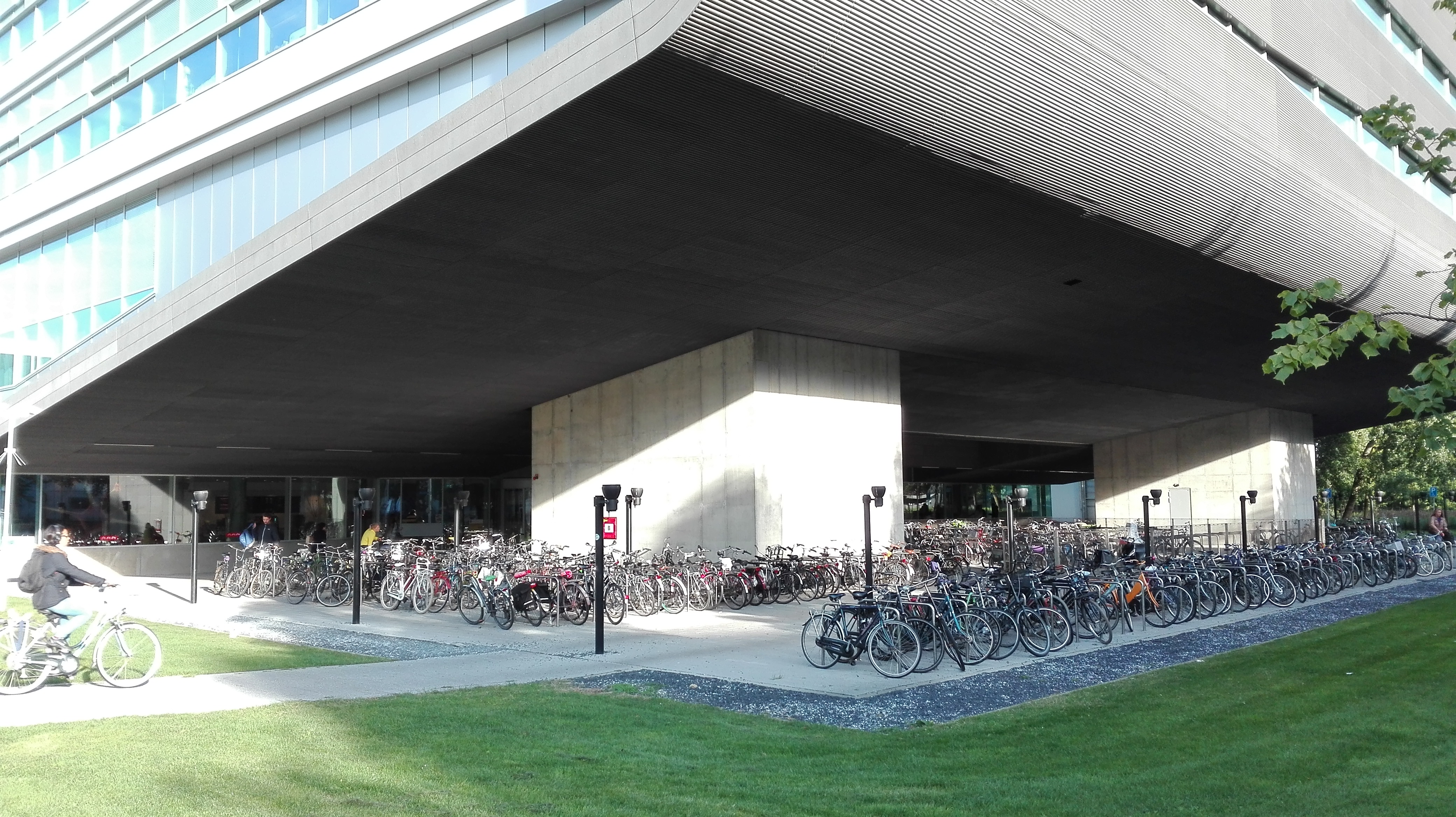 Duzy parking rowerowy Utrecht