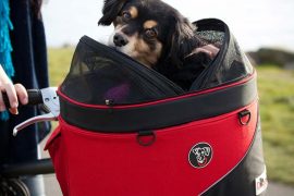 koszyk rowerowy dla psa kota zwierząt Doggy ride cocoon